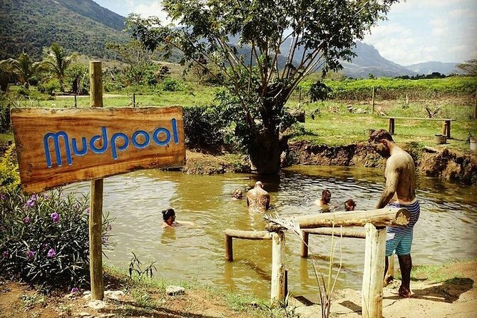 16 Lines Zipline, Cave and Mud Spa Combo Tour with Lunch in Fiji - Picking up speed in Nadi, then heading for the forest
