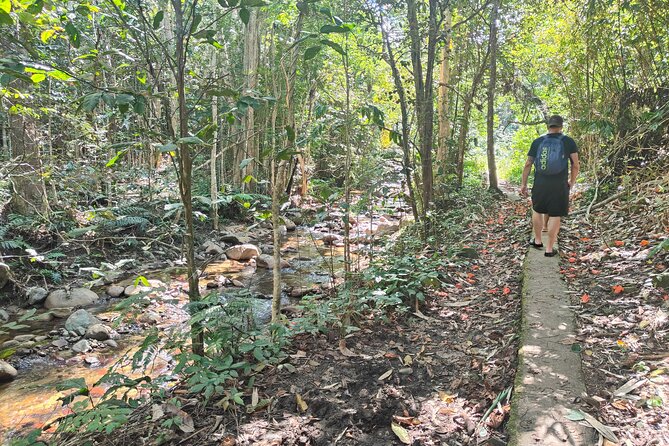 16 Lines Zipline, Cave, Hiking & Biausevu Waterfall Combo Tour - Lunch, Small Group Size, and the Real Rhythm of the Day