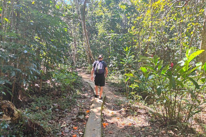 16 Lines Zipline, Cave, Hiking & Biausevu Waterfall Combo Tour - Price Check: Is $182.97 Good Value for This Much Included?