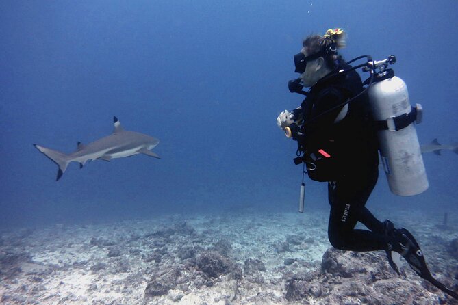 2 Tank (1 Day) Guided Diving for Certified Divers - Denarau Marina - Morning timing: the 8:30 am departure and the boat ride to Mamanuca