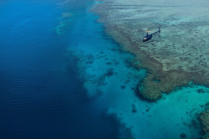 25 minutes Mamanuca Island Tour - Port Denarau to the lower Mamanucas: what you’ll notice in the first minutes