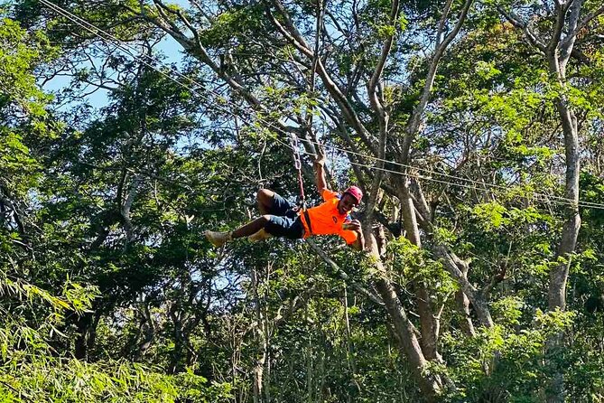 6 Hours Giant Zipline Adventure Park in Fiji - Rainforest details and the included Jungle Safari feel
