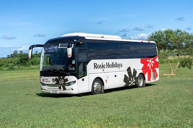 Arrival Shared Transfer : Airport to Hotel - Key Things I’d Remember Before You Go