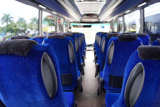 Arrival Shared Transfer : Airport to Hotel - Pricing and Value: What $35.75 Buys You