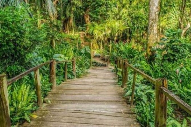 Best of Fiji Tours: 3 Days Package - Day 3 Zip Fiji Momi and caves: a half-day adventure with safety gear