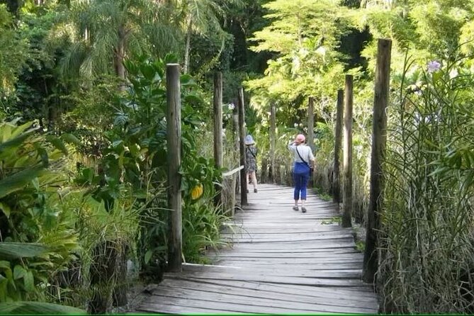 Best of Nadi Highlights - Stop 4: Viseisei Village and What You Learn in 30 Minutes