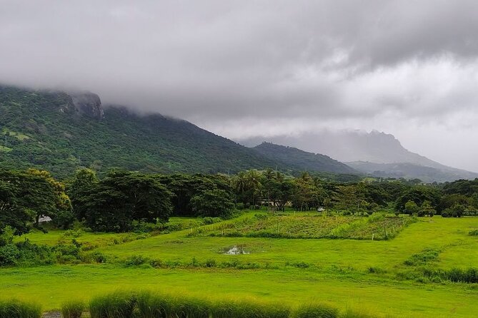 Biausevu Waterfall Tour (Sigatoka) - Who should book, and who might not love it