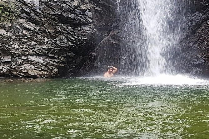 Biausevu Waterfall Tour (Sigatoka) - Swimming in a cool lagoon with giant ferns and wild ginger