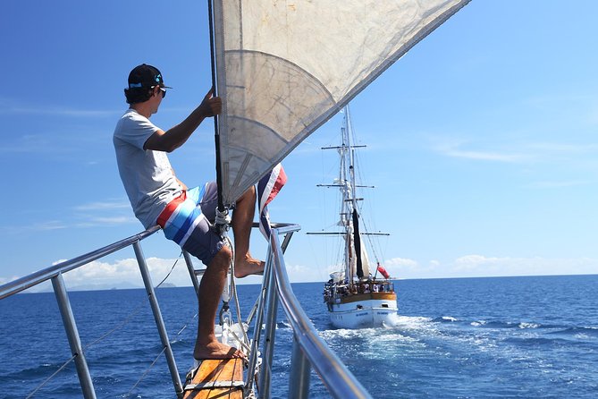 Capt Cook Cruises Super Saver Combo: Day Sail + Dinner Cruise - Guided Medicine Walk With a Biologist: Fun Learning Without the Lecture