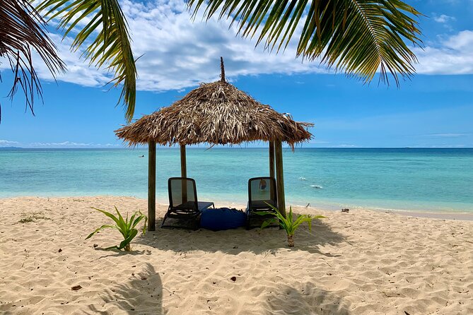 Captain Cook Cruises Fiji - Island and Reef Day Cruise - Marine biologist coral viewing and what it means for your snorkeling