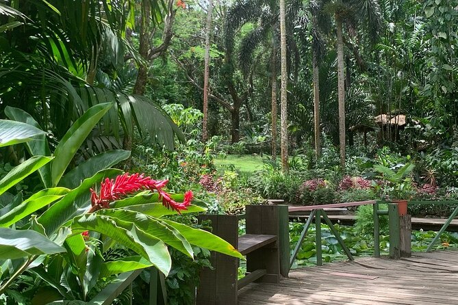 CFC Hot Spring Mud Pool,Garden Of Sleeping Giant And Village Visit Half Day Tour - Why This Nadi Half-Day Mix of Gardens, Mud Pools, and a Village Works