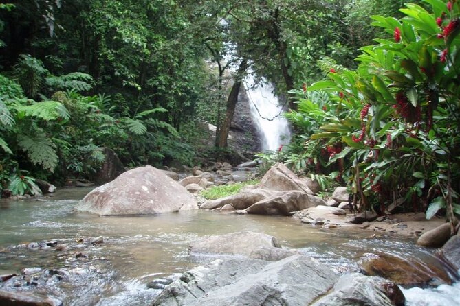 ''Coral Coast Adventure: Biausevu Waterfall & Natadola Beach !'' - Baravi Handicrafts and Cafe Lunch: Local Food With a Side of Craft