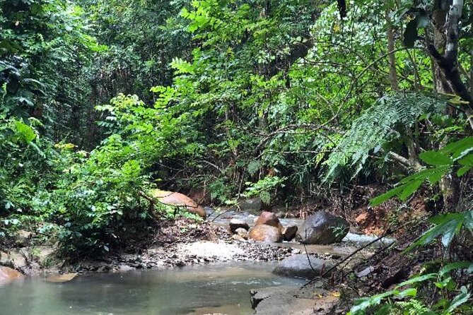 ''Coral Coast Adventure: Biausevu Waterfall & Natadola Beach !'' - Comfort, Guides, and How to Make the Day Go Smoothly