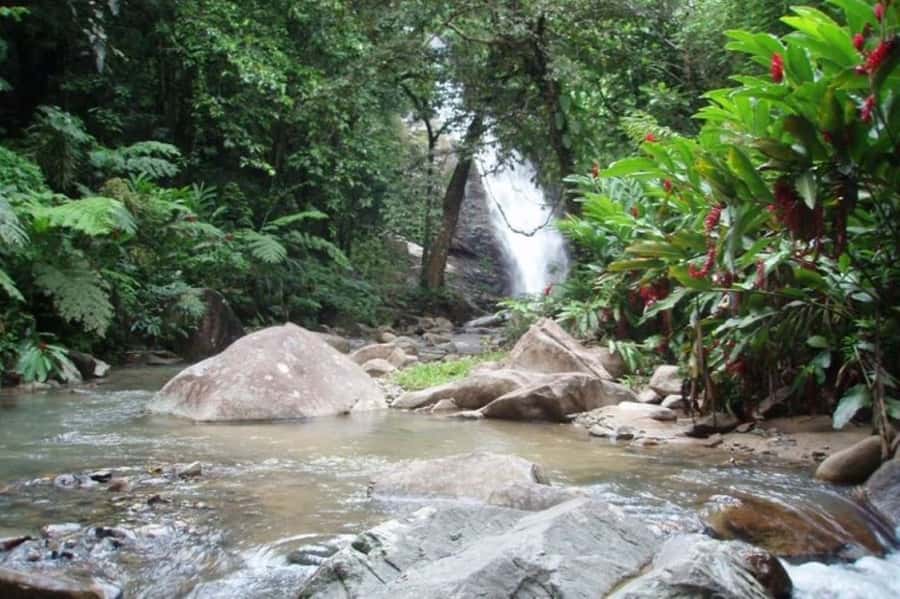 Coral Coast Adventure: Biausevu Waterfall & Natadola Beach - Should You Book Coral Coast Adventure: Biausevu Waterfall & Natadola Beach?