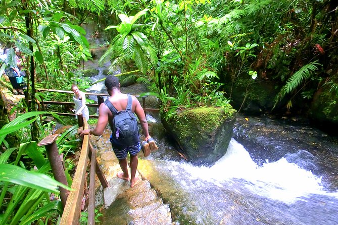 Customized Suva day tour - Entering Suva on your terms, not on a schedule
