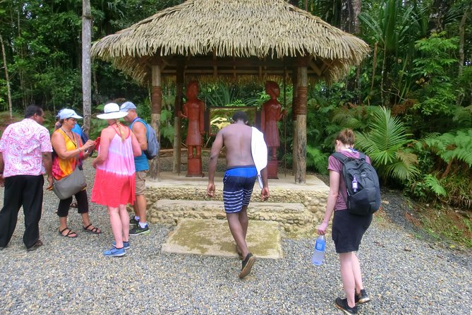 Customized Suva day tour - Parks, gardens, and the waterfall plan