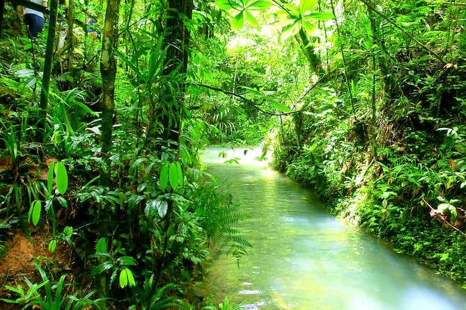 Customized Suva day tour - Timing, pacing, and why the “private” part matters