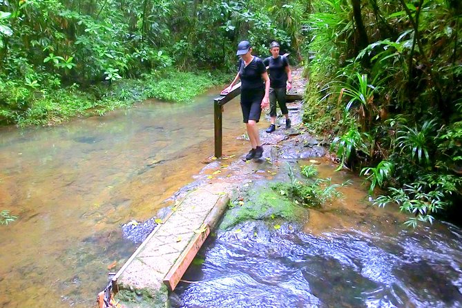 Customized Suva day tour - Price and value: why $91.36 can be a deal or not