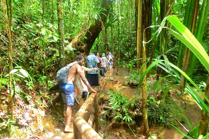 Customized Suva day tour - Who this Suva day tour is perfect for