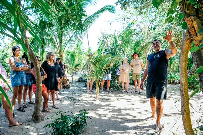 Day and Night Combo Tour - Value and Price: Why $164 Can Make Sense for the Right Traveler