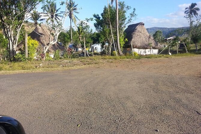 Denarau Hotels to Nadi Airport (Private Departure Transfer) - Should you book this Denarau to Nadi Airport transfer?