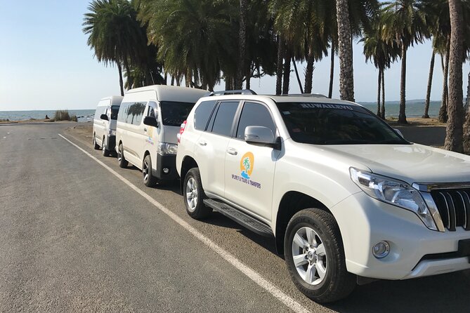 Denarau Hotels to Nadi Airport (Private Transfer) - Airport Drop-Off: Getting You to the Right Place, Not Just Somewhere