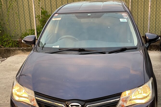 Denarau Hotels to Nadi Airport (Private Transfer) - Who This Transfer Is Best For