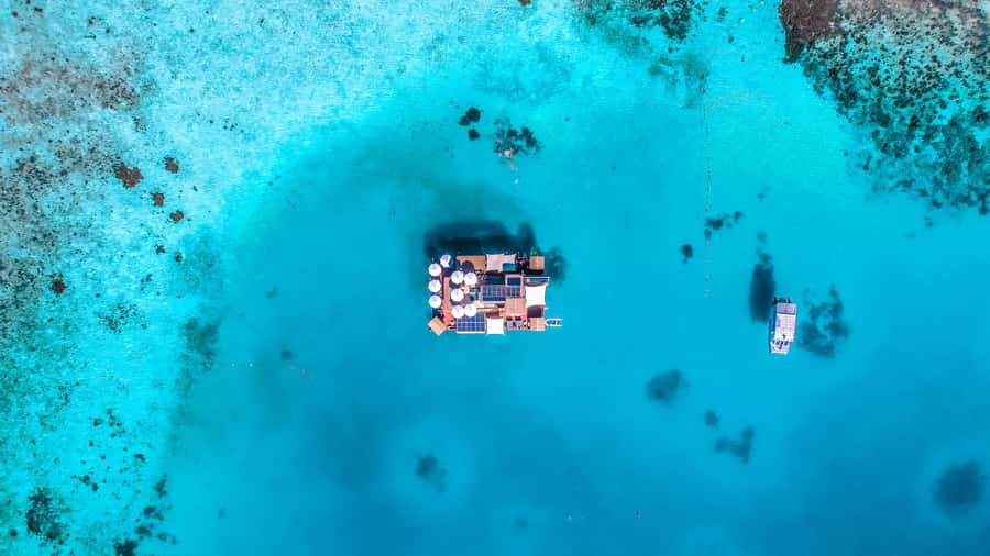 Denarau: Seventh Heaven Floating Bar Day Trip - Why Seventh Heaven Feels Like a Vacation Shortcut from Denarau