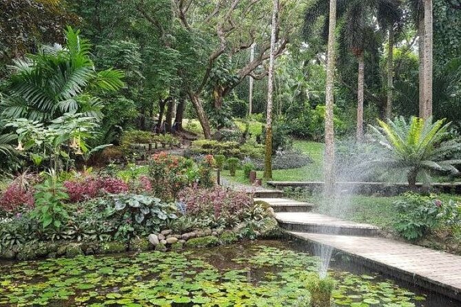 Discover Mud pool/Hot -Spring Nadi - Sleeping Giant Gardens: Optional, Guided, and Time-Sensitive