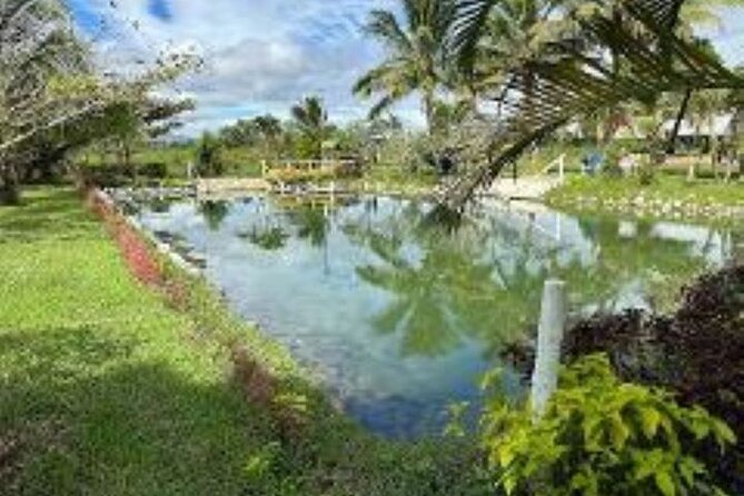 Discover Mud pool/Hot -Spring Nadi - Getting There from Nadi: Pickup, Ride Comfort, and Smart Stops