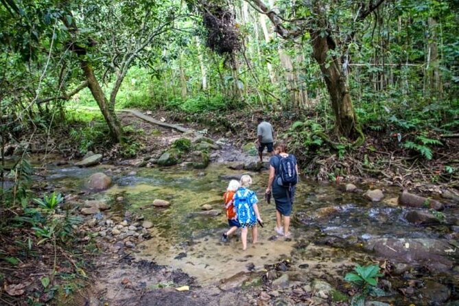 Fiji Adventure: Biausevu Waterfall & Dunes hiking Combo Tour! - Sigatoka Sand Dunes National Park: The Walk You’ll Remember