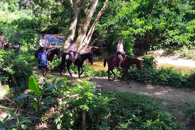 Fiji Adventure: Biausevu Waterfall & Dunes hiking Combo Tour! - Kava Tasting and Cultural Stops That Don’t Feel Like a Lecture