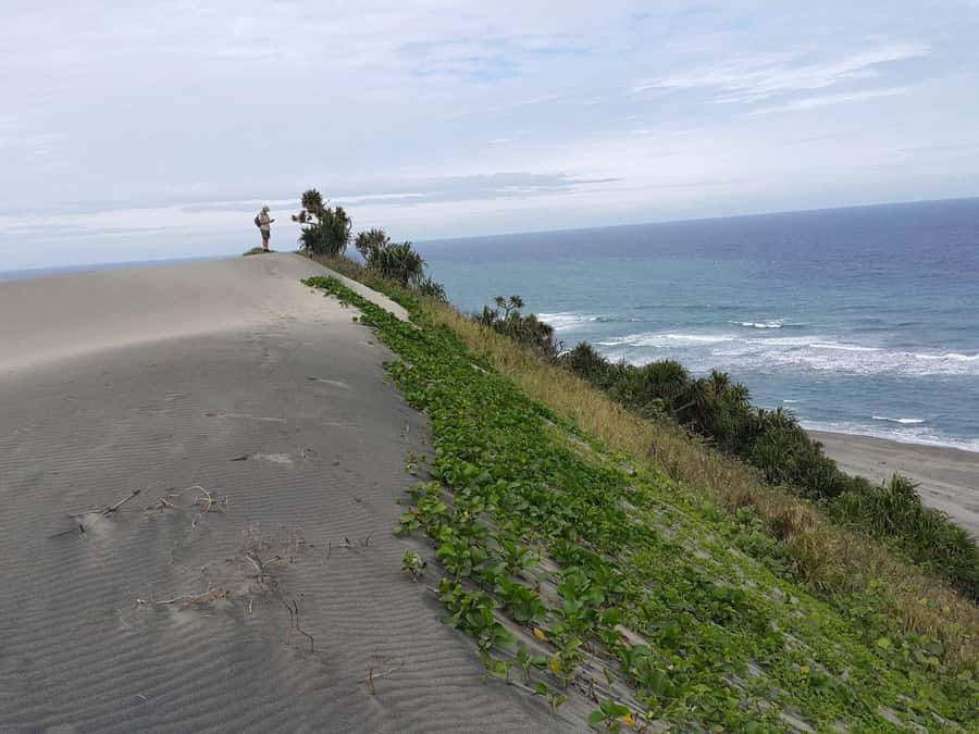 Fiji: Biausevu Waterfall and Sigatoka Sand Dunes Tour - The rainforest hike reality check: time, footing, and stream crossings