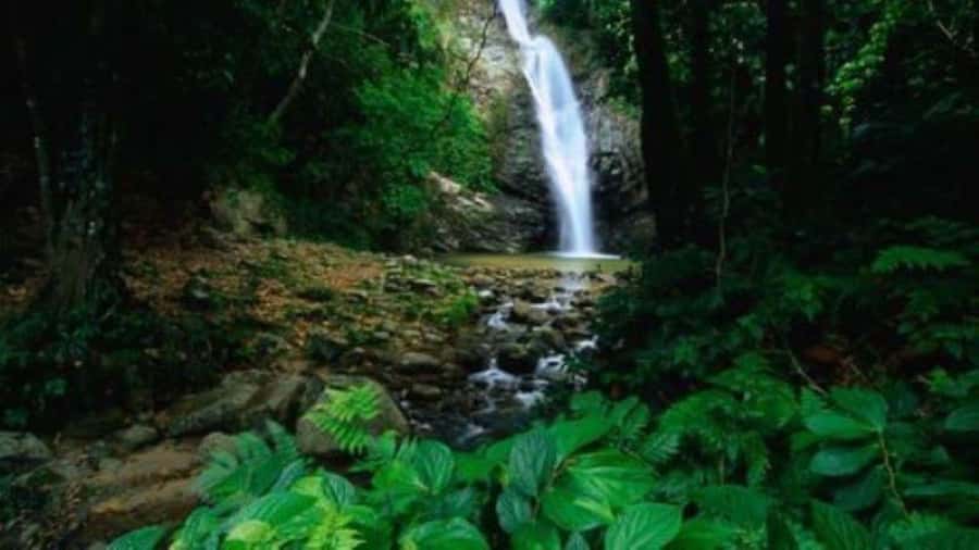 Fiji Biausevu waterfall & Village Tour - Rules, dress, and what to pack for a jungle day