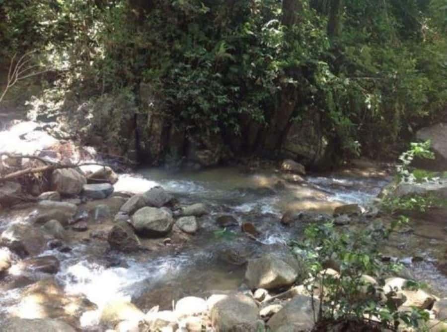 Fiji Biausevu waterfall & Village Tour - Who this tour fits, and who should skip it