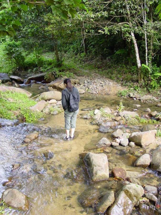 Fiji Biausevu waterfall & Village Tour - Should you book the Fiji Biausevu waterfall and village tour?