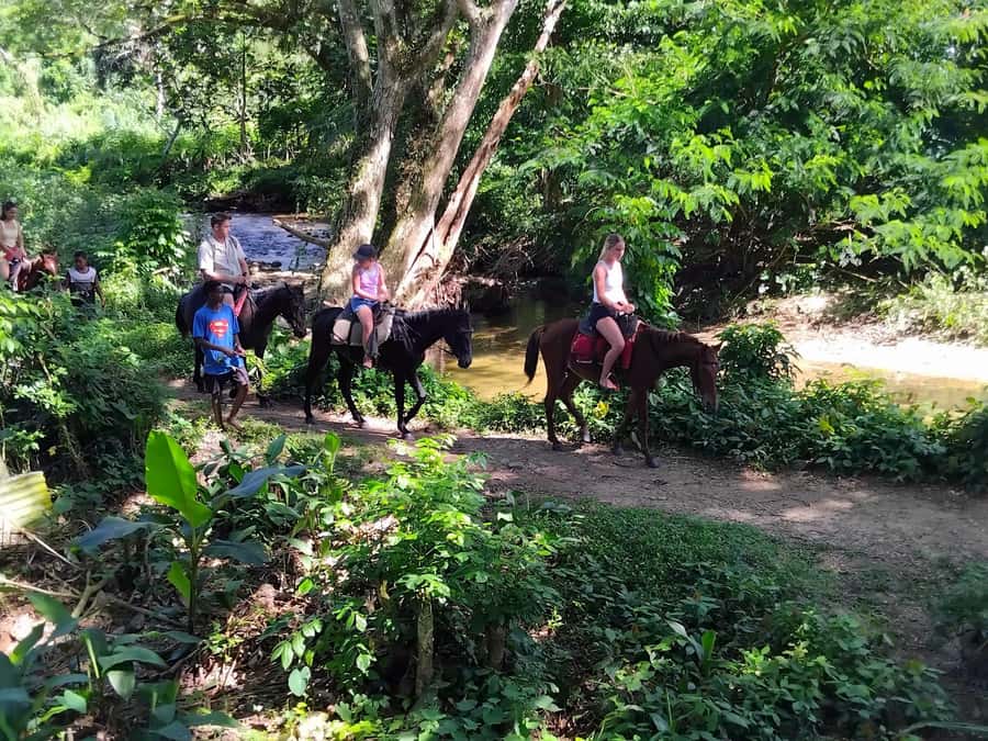 Fiji Biausevu waterfall & Village Tour - The rainforest hike and the 30 to 45 minute walk to the falls