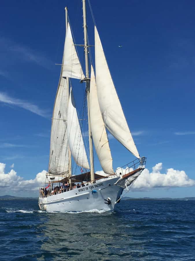 Fiji: Captain Cook Cruises - Island & Reef Day Trip - Reef time with marine biologists: snorkeling, glass-bottom boat, and coral planting