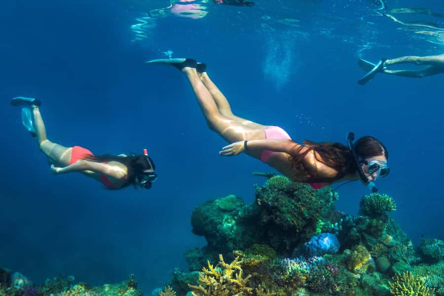 Fiji: Captain Cook Cruises - Island & Reef Day Trip - Who this day trip suits best