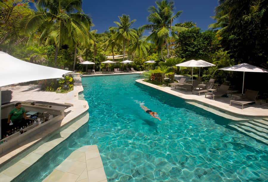 Fiji: Castaway Island Resort Day Cruise with Lunch - Denarau to the Catamaran: Transfers and Timing That Affect Your Day