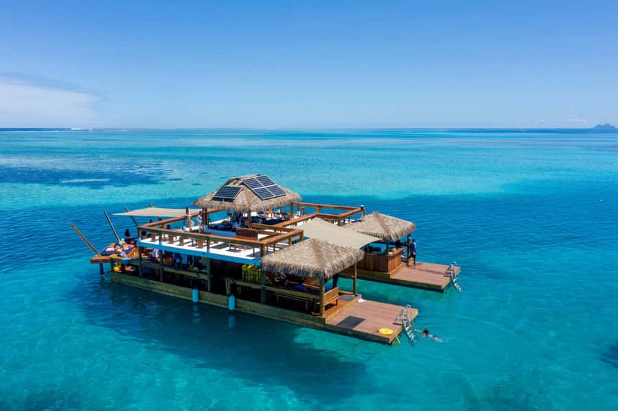 Fiji: Cloud 9 Floating Bar and Pizzeria Day Trip - Cloud 9 in plain terms: a bar that floats, with real swimming time