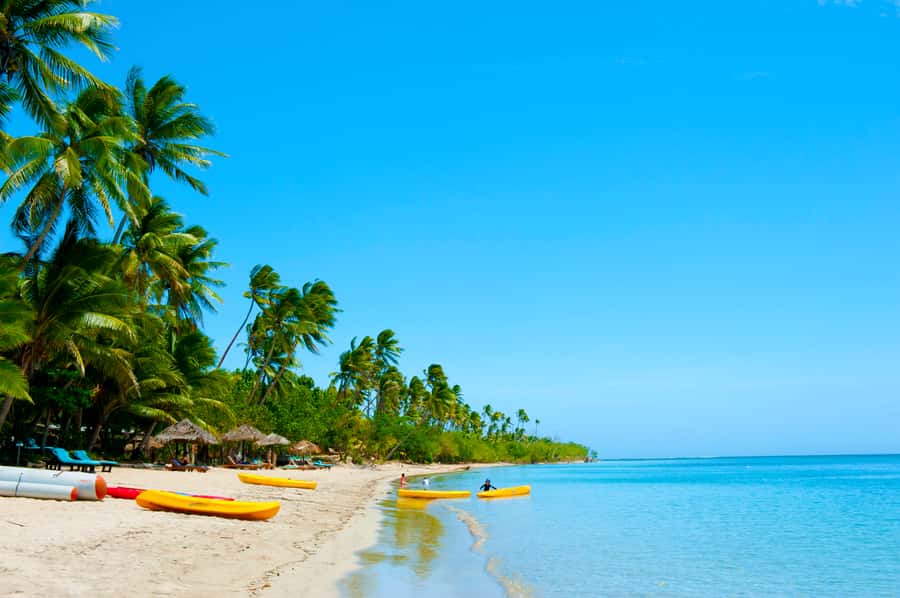 Fiji: Cultural Island Adventure & Jungle Cruise Experience - Lovo Earth-Oven Lunch: Food You Can Smell Before You See