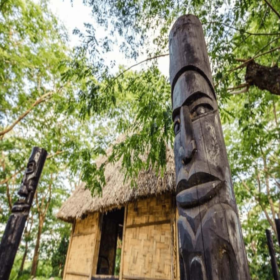 Fiji: Cultural Village Evening Tour with Dinner and Show - Warrior Welcome and a Village Walk That Explains More Than It Performs