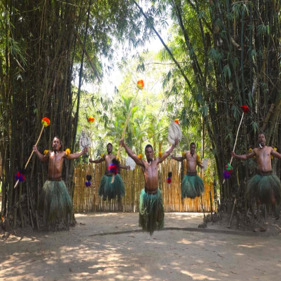 Fiji: Cultural Village Evening Tour with Dinner and Show - Price and Value: What $76 Buys You in Real Terms