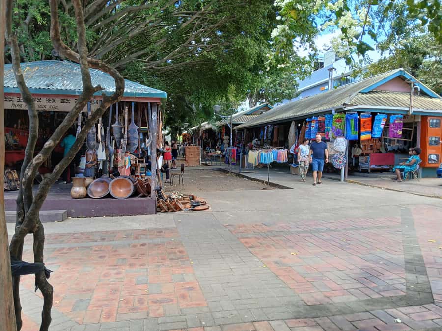 Fiji: Discover Nadi with Sabeto Hotspring and Mudpool Tour - Key things to know before you go