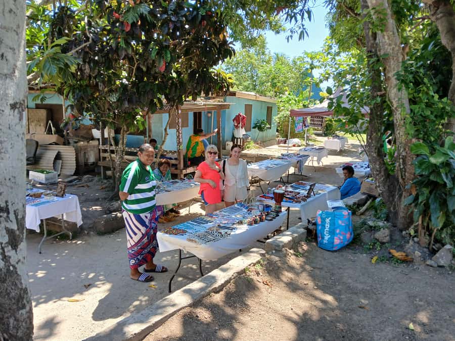 Fiji: Discover Nadi with Sabeto Hotspring and Mudpool Tour - Who this tour suits best, and who should choose differently