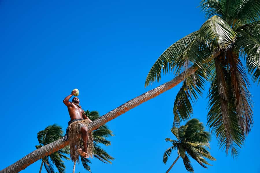 Fiji: Full Day Cultural Island Tour with Lunch & Cruise - Key Things You’ll Love on Likuri Island