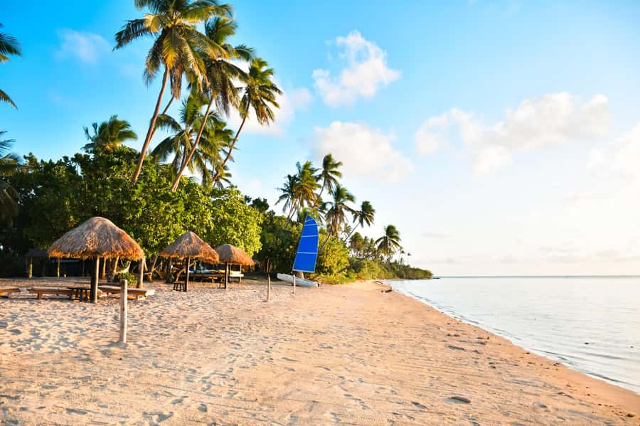 Fiji: Full Day Cultural Island Tour with Lunch & Cruise - Tuva River Jungle Cruise: Calm Water First, Then the Energy Builds
