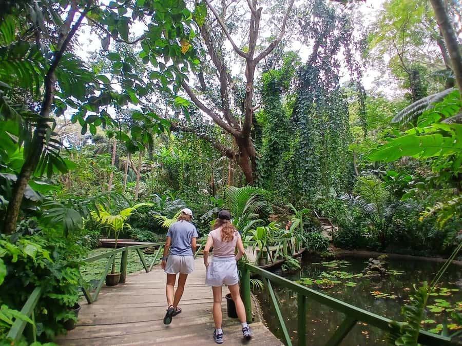 FIJI: Garden of the Sleeping Giant Tour - Key things to know before you go