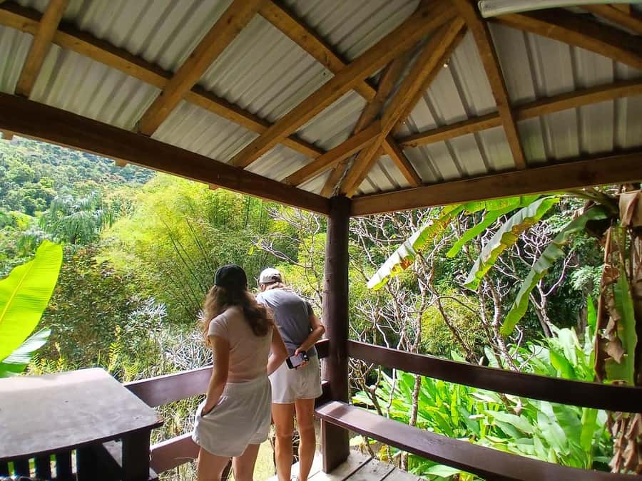 FIJI: Garden of the Sleeping Giant Tour - Raymond Burr’s orchid obsession still shapes the experience